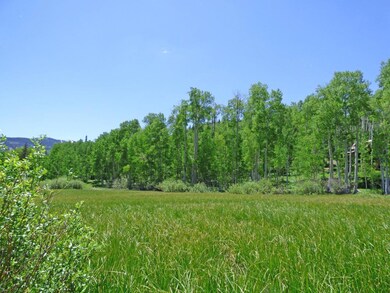 Site 659R Summer