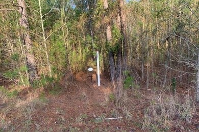 Lot 49 Eagle Point, Lincolnton, GA 30817 - photo 3