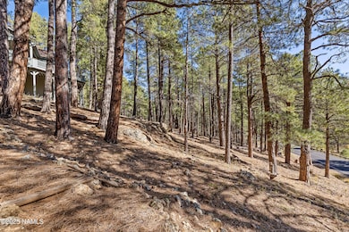 2705 Bucky Oneill, Flagstaff, AZ 86001 - photo 5