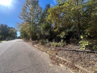 11 Bayshore Dr, Athens, TX 75752 - photo 5