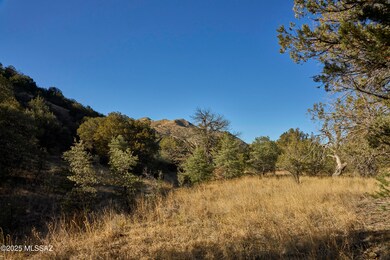 TBD Paradise Rd unit 10, Portal, AZ 85632 - photo 3