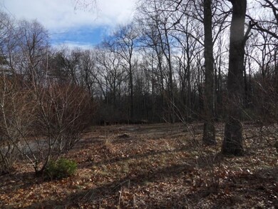 68 Depot St, Douglas, MA 01516 - photo 2