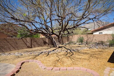 Shady Mesquite + Mountain View
