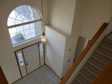 24336 Pear Tree Way, Plainfield, IL 60585 - photo 2