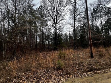 0 Tbd Silverside Rd, Watson, OK 74963 - photo 5