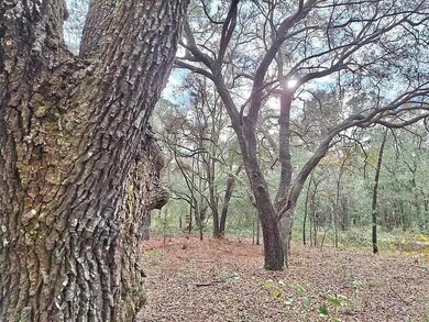 TBD SE 73rd Place unit Lot 11, Morriston, FL 32668 - photo 3