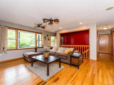 18 Chapel Hill Place, Leicester, NC 28748 - photo 4