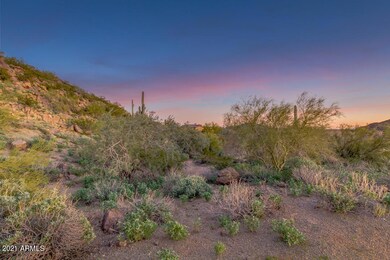 Forest Trail Lot 10