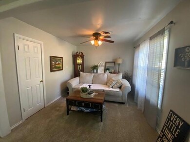 207 W Pecan St, Sadler, TX 76264 - photo 6