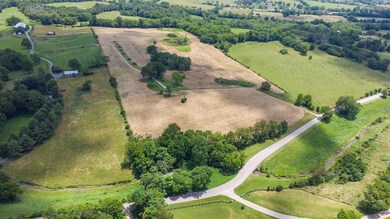 2330 Carpenter Pike, Versailles, KY 40383 - photo 3