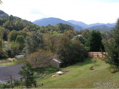 52 Hayes Cove Rd, Leicester, NC 28748 - photo 3