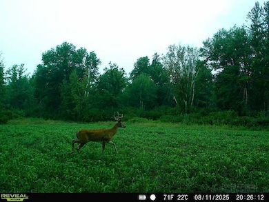 7235 120th St SW, Motley, MN 56466 - photo 4