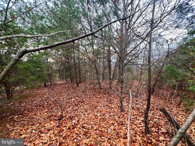 158 Eastern Dr, Moorefield, WV 26836 - photo 7