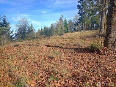 167 Wagner Rd, Kelso, WA 98626 - photo 4