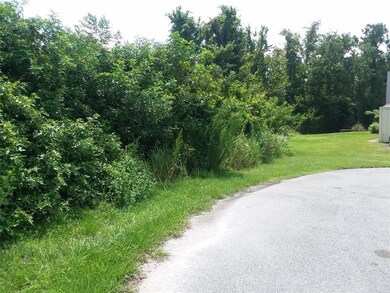 0 Bruns St unit S5074093, Saint Cloud, FL 34771 - photo 3