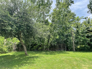 Left side of lot coming from Brayan Ave.