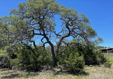 View of undeveloped land