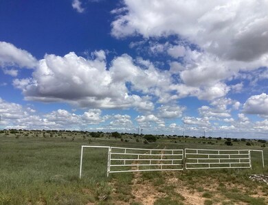 0 County Rd A052 Tract A unit 1094771, Estancia, NM 87016 - photo 3