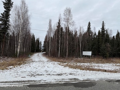 000 Tanana Loop Rd, Big Delta, AK 99737 - photo 2