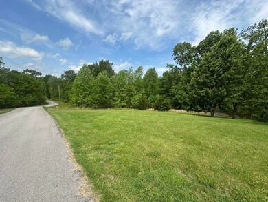 0 Davidson Rd, Burkesville, KY 42717 - photo 4