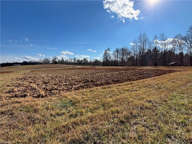 0 Pleasant View Church Rd, Danbury, NC 27016 - photo 2