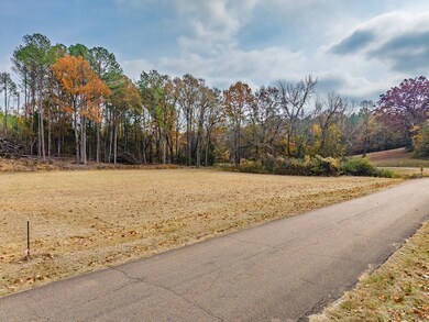 Lot 1 1 7640 Ac Boyd St, Water Valley, MS 38965 - photo 7