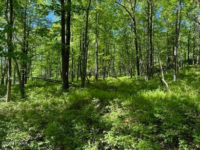 Lot 17 Woodlyn Acres Rd, Berlin Township, PA 18428 - photo 4