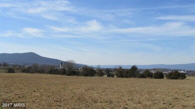 0 Log Cabin Dr unit 1004078257, Stanley, VA 22851 - photo 2