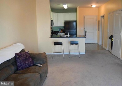 8045 Newell St unit 523, Silver Spring, MD 20910 - photo 7