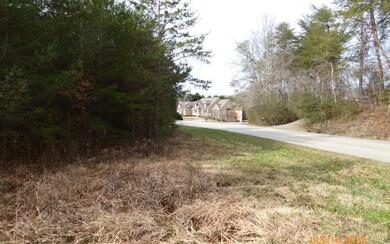 Additional View