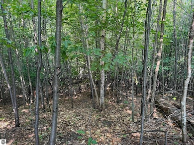 1955 N Blue Water Ct unit 2, Suttons Bay, MI 49682 - photo 7