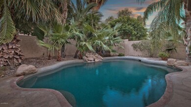 Backyard Oasis