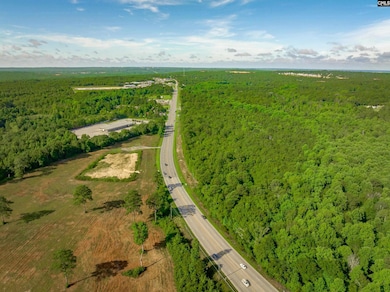 0 Highway 321, West Columbia, SC 29172 - photo 2