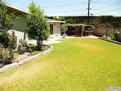 Manicure back yard!