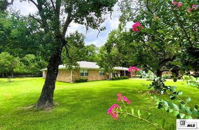 1404 White St, Ruston, LA 71270 - photo 4