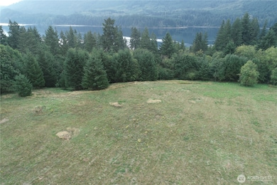 290 Wilkinson Rd, Ariel, WA 98603 - photo 4