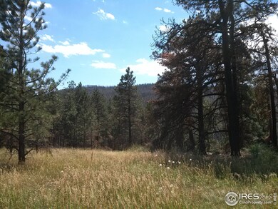 0 Little Whale Rd unit 698616, Bellvue, CO 80512 - photo 2
