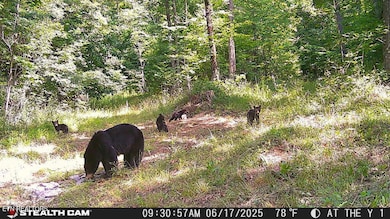 0 Junaluska Dr unit 1299475, Jamestown, TN 38556 - photo 2