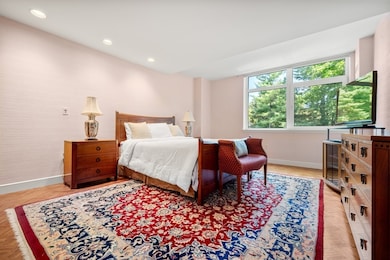 Hampton Place unit 211N, Chestnut Hill, MA 02467 - photo 6