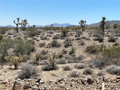 Lot 3014 on N Boundary Looking to the East with Jo