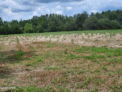 000 Joiner Rd, Chipley, FL 32428 - photo 4