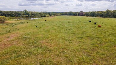 TBD County Road 4387, Decatur, TX 76234 - photo 5