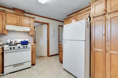 487 Saint Mark Ave, Opelousas, LA 70570 - photo 4
