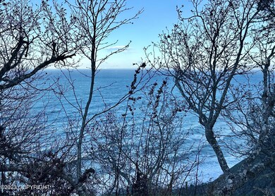 Bay Views