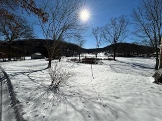 IMG_20250114_122203