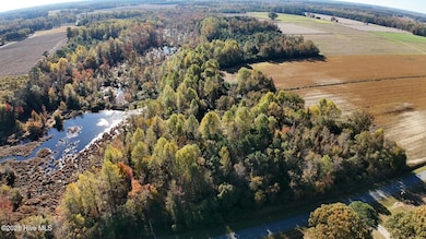 294 James Price Rd, Seven Springs, NC 28578 - photo 2