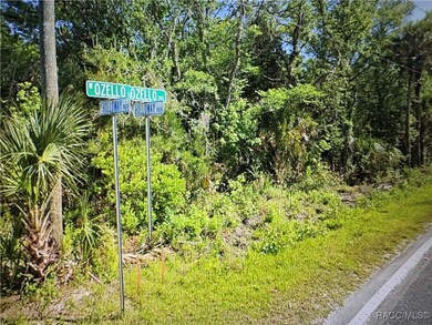 10043 W Holloway Path, Crystal River, FL 34429 - photo 4