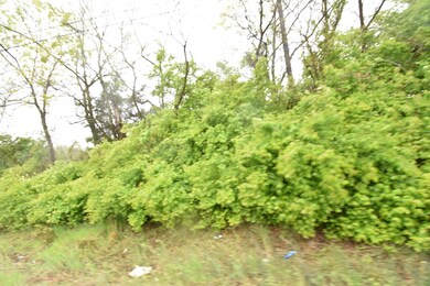 Tract 1 at Dean Rd, Harrodsburg, KY 40330 - photo 5