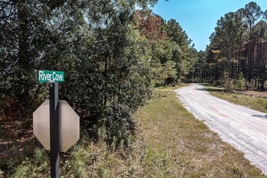 250 Riversong Rd unit 55, Carrollton, GA 30117 - photo 6