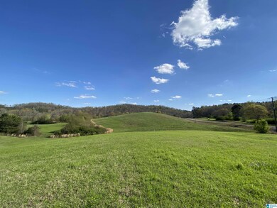 0 Highway 174 unit Tract 8 21415020, Springville, AL 35146 - photo 4